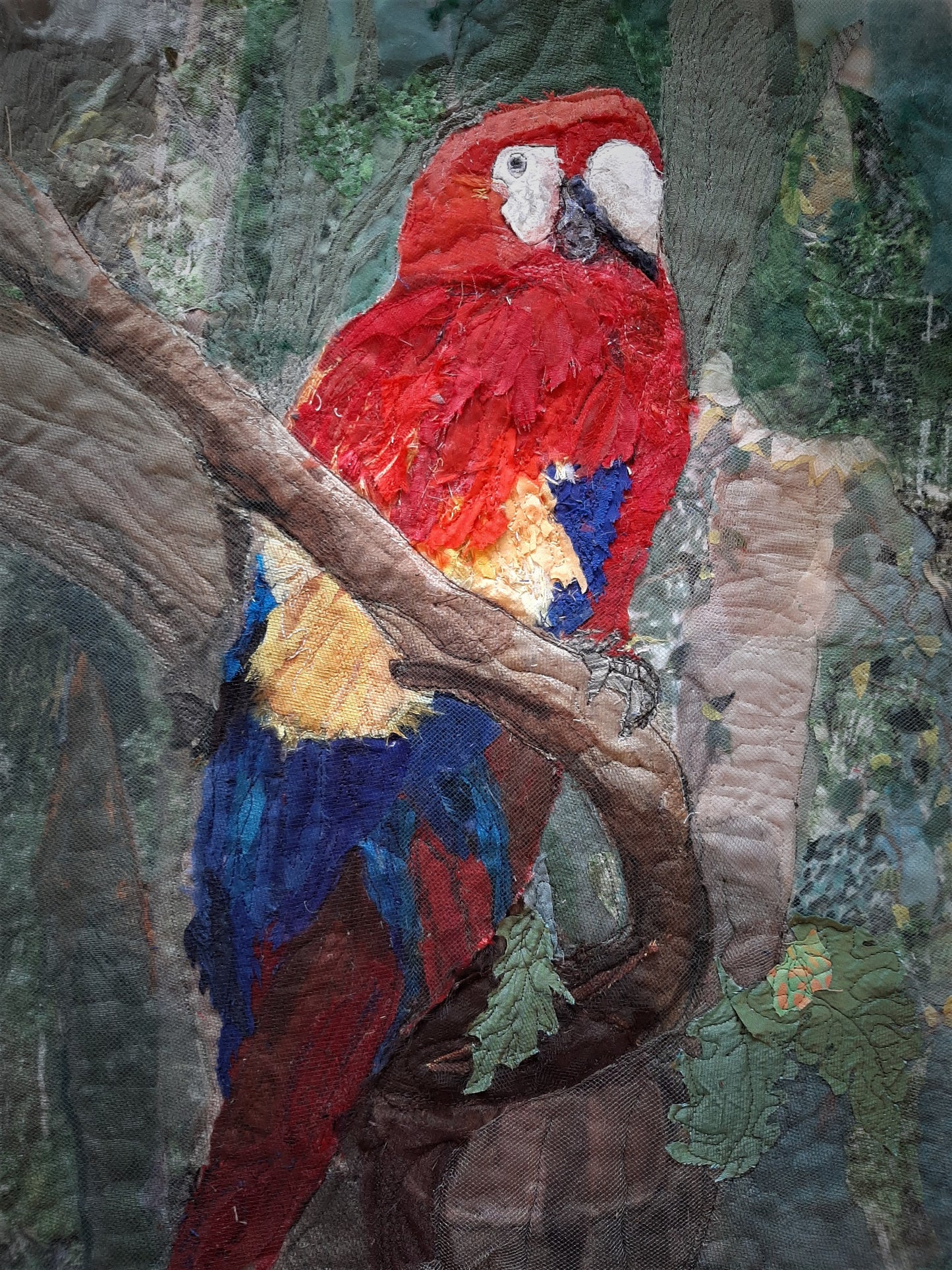 Scarlet Macaw