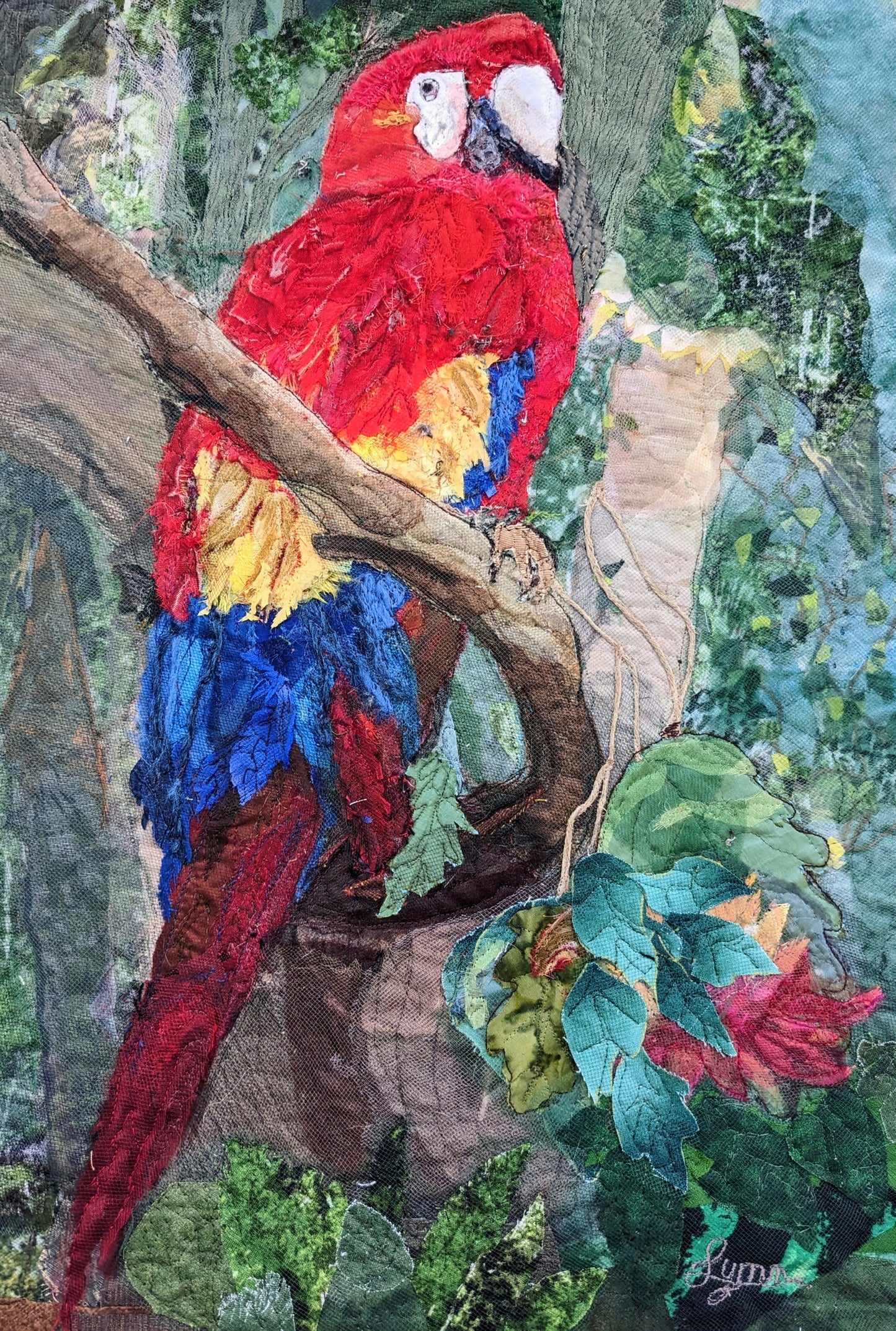 Scarlet Macaw
